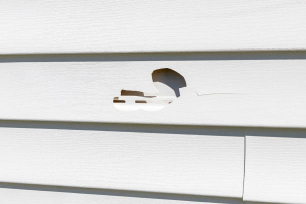 Best Vinyl Siding Installation  in Taneytown, MD