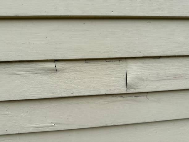 Best Siding for Multi-Family Homes  in Taneytown, MD